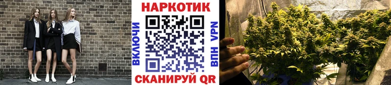 Купить закладку А ПВП  Мефедрон  Псилоцибиновые грибы  Каннабис  COCAIN  ГАШИШ  Заречный