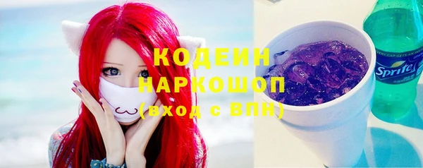 прущие грибы Каменка