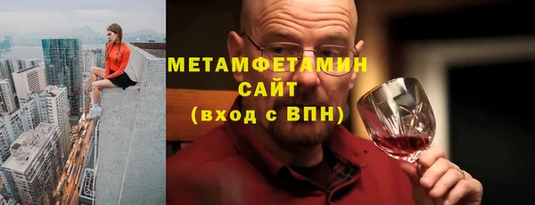 прущие грибы Каменка