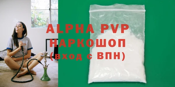 прущие грибы Каменка
