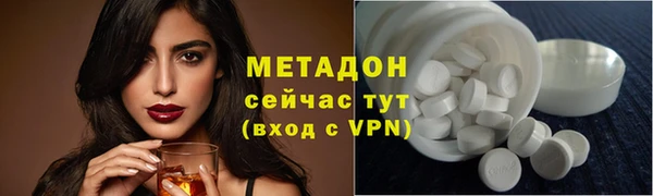 прущие грибы Каменка