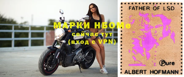 прущие грибы Каменка