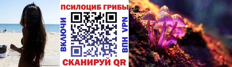 Купить где  Заречный  Псилоцибиновые грибы Magic Shrooms 